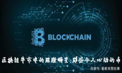 : 区块链牛市中的璀璨明星：那些令人