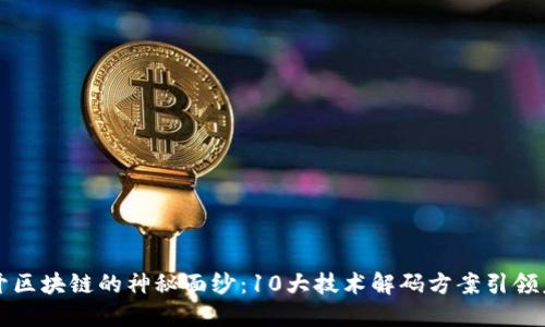 揭开区块链的神秘面纱：10大技术解码方案引领未来