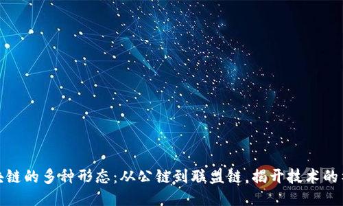 探索区块链的多种形态：从公链到联盟链，揭开技术的神秘面纱