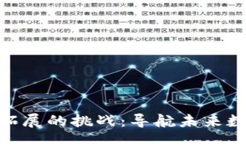 : 区块链拓展的挑战：导航未来数字化浪潮