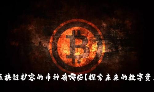 区块链扩容的币种有哪些？探索未来的数字资产