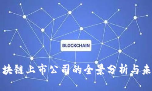 深圳区块链上市公司的全景分析与未来发展