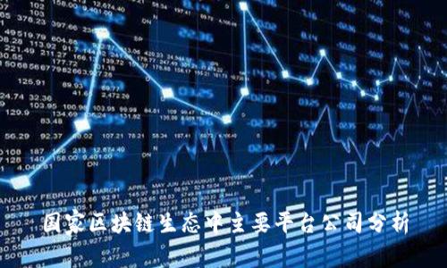 国家区块链生态中主要平台公司分析