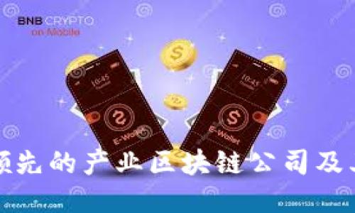 全球领先的产业区块链公司及其示例