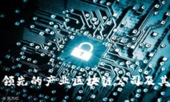 全球领先的产业区块链公司及其示例