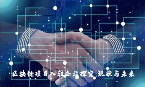 区块链项目入驻企业探究：现状与未来