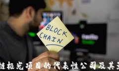 区块链极光项目的代表性公司及其影响