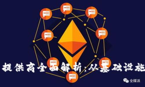 区块链节点提供商全面解析：从基础设施到未来趋势