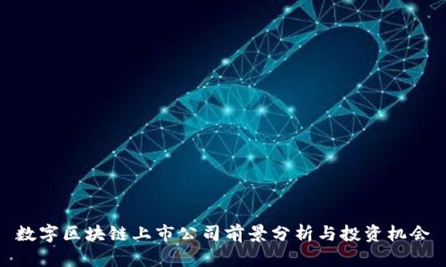 数字区块链上市公司前景分析与投资机会