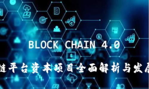 区块链平台资本项目全面解析与发展前景