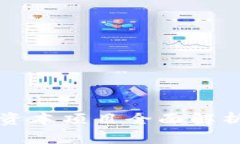 区块链平台资本项目全面解析与发展前