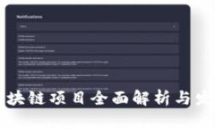 国内区块链项目全面解析与发展前景