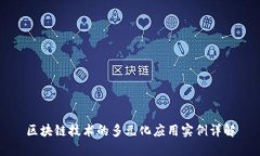 区块链技术的多元化应用实例详解
