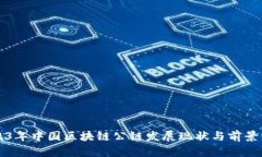 2023年中国区块链公链发展现状与前景